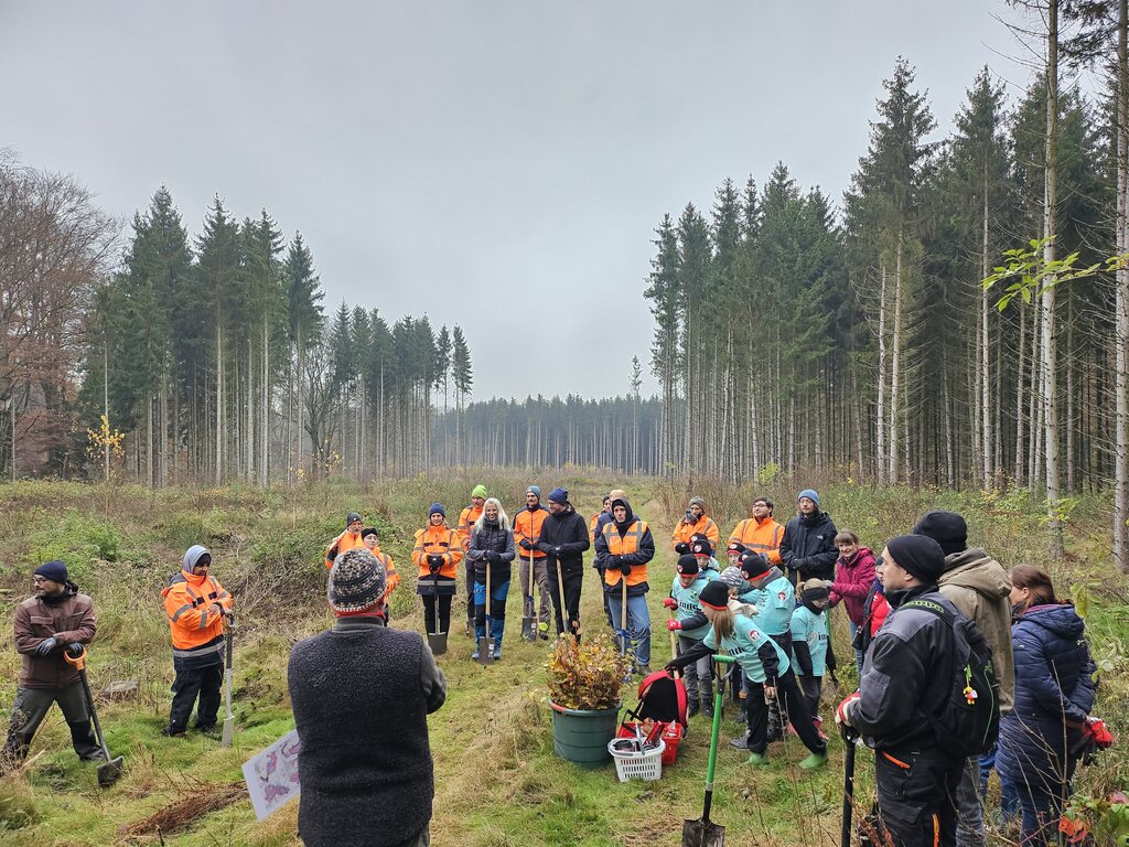 Initiative Mecklenburg-Vorpommern forstet auf gestartet
